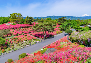 小室山公園