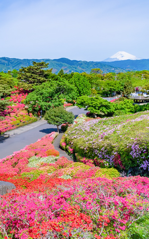 小室山公園